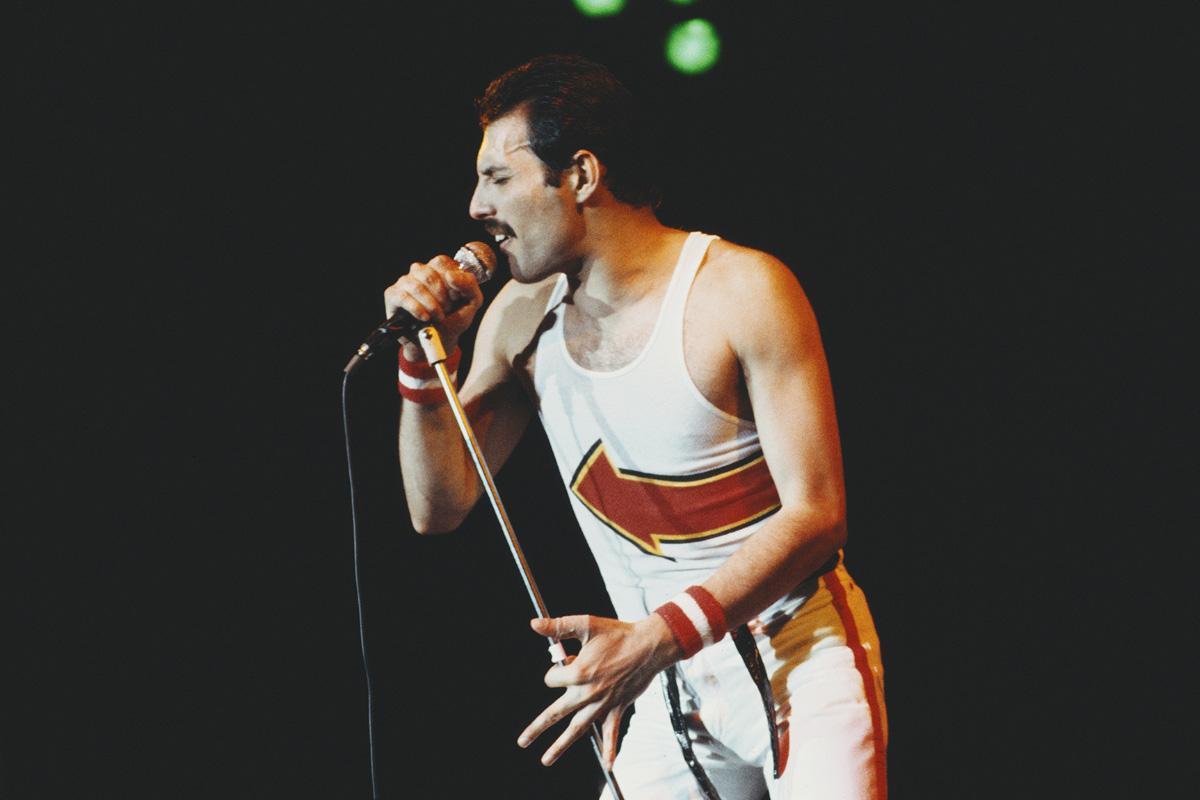 The Only Thing Freddie Mercury Didn't Discuss With Journalists - Rock  Celebrities